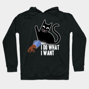 I Do What I Want Funny Cat Coffee Design for Cat Kitty Lovers Hoodie